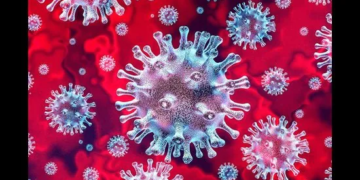 ملک میں 40120 نئے کورونا کیس، 585 اموات ، فعال معاملوں میں 2700 سے زائد کی کمی