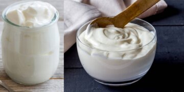 روزانہ دہی کھانا کیسا؟ جانئے پوشیدہ فوائد