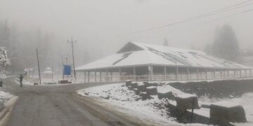 وادی کے دیہی علاقوں میں بھاری برفباری باغات کو نقصان، درخت اکھڑ گئے