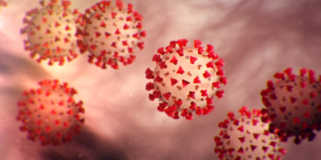 ملک میں کوروناوائرس کے 8 ہزار سے زائد نئے کیسز