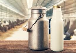 جموں و کشمیرکا دودھ اب دبئی میں فروخت ہوگا