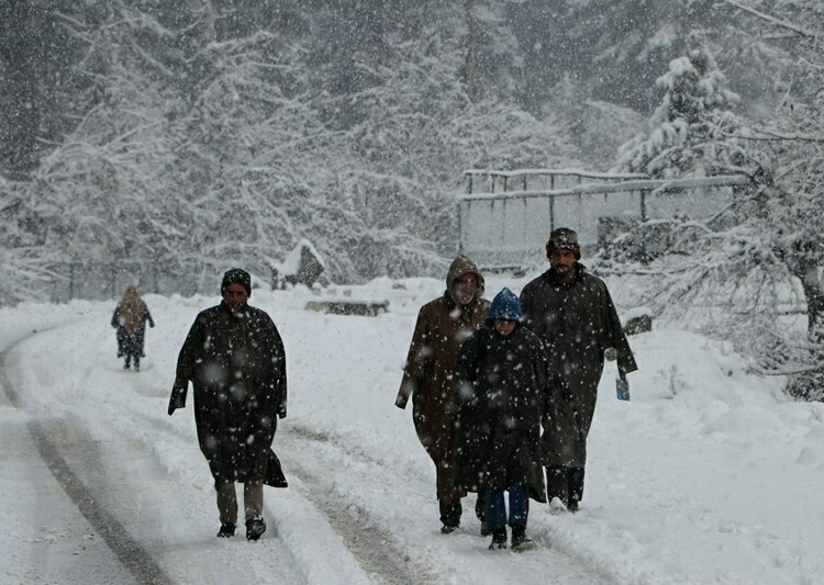 PIR-PANJAL, JAN 7 (UNI):- Snowfall continues in Pir-Panjal mountains in south Kashmir Kulgam District on Friday. UNI PHOTO-7U
