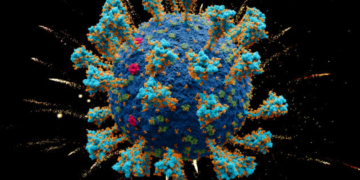 کورونا وائرس کی نئی قسم کی موجودگی کا دعویٰ