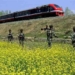 سال 2022میں کشمیر کو ریل نیٹ ورک سے جوڑا جارہا ہے