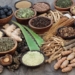 فوج کیلئے’آیورو یدک طرز علاج‘ کومنظوری