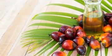 پام آئل کی درآمدگی پر ٹیکس بڑھانے کا امکان