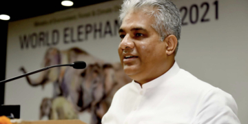 بھارت اور ڈنمارک دنیا کو دکھا سکتے ہیں کہ پائیدار توانائی کے اہداف کو حاصل کرنا ممکن ہے۔ بھوپندر یادو