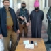 بڈگام میں منشیات فروش گرفتار؛ ممنوعہ مادہ، موبائل فون اور نقدی رقم برآمد