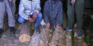 بارہمولہ میں پولیس نے غیر قانونی لکڑی ضبط کی 2 افراد گرفتار