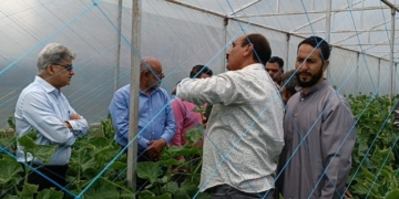 جدید طرز کاشتکاری سے سبزی کی کاشت میں انقلاب آئے گا