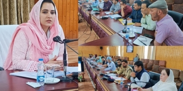 ضلع ترقیاتی کمشنر نے آزاد گنج بارہمولہ میں واٹرفلٹریشن پلانٹ کا معائینہ کیا