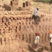 اینٹ بٹھوں کے تحت اراضی کی بازیابی اور زرعی سرگرمیاں