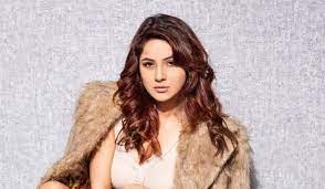 فلم انڈسٹری میں کئی ایسے ستارے ہیں جنہوں نے کیریئر کی تلاش میں اپنا گھر بار چھوڑا