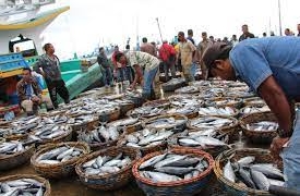 ماہی پروری کا محکمہ ڈیجیٹل کامرس کیلئےاوپن نیٹ ورک کے ساتھ ایک مفاہمت نامے پر دستخط کرے گا