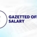 گزیٹیڈ اور نان گزیٹیڈسروسز کے بھرتی قواعد