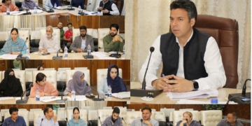 ڈی سی سرینگر نے ڈی ایل آئی سی میٹنگ کی صدارت کی