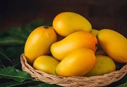 ایک آم کا نام چونسا کیونکر پڑا اور اورنگزیب نے دو آموں کے کیا نام رکھے؟