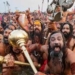 مہا کمبھ ویب سائٹ پر 183 ممالککے 33 لاکھ سے زیادہ صارفین نے ویزٹ کیا