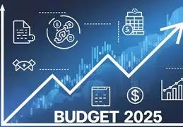 بجٹ 2025-26 طویل مدتی وژن اور کاروباری جذبے پر زور دیتا ہے۔  فنانس سکریٹری