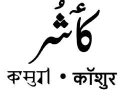 کشمیری زبان کو پارلیمنٹ کی بروقت ترجمہ سروس میں شامل کرنے کی مانگ